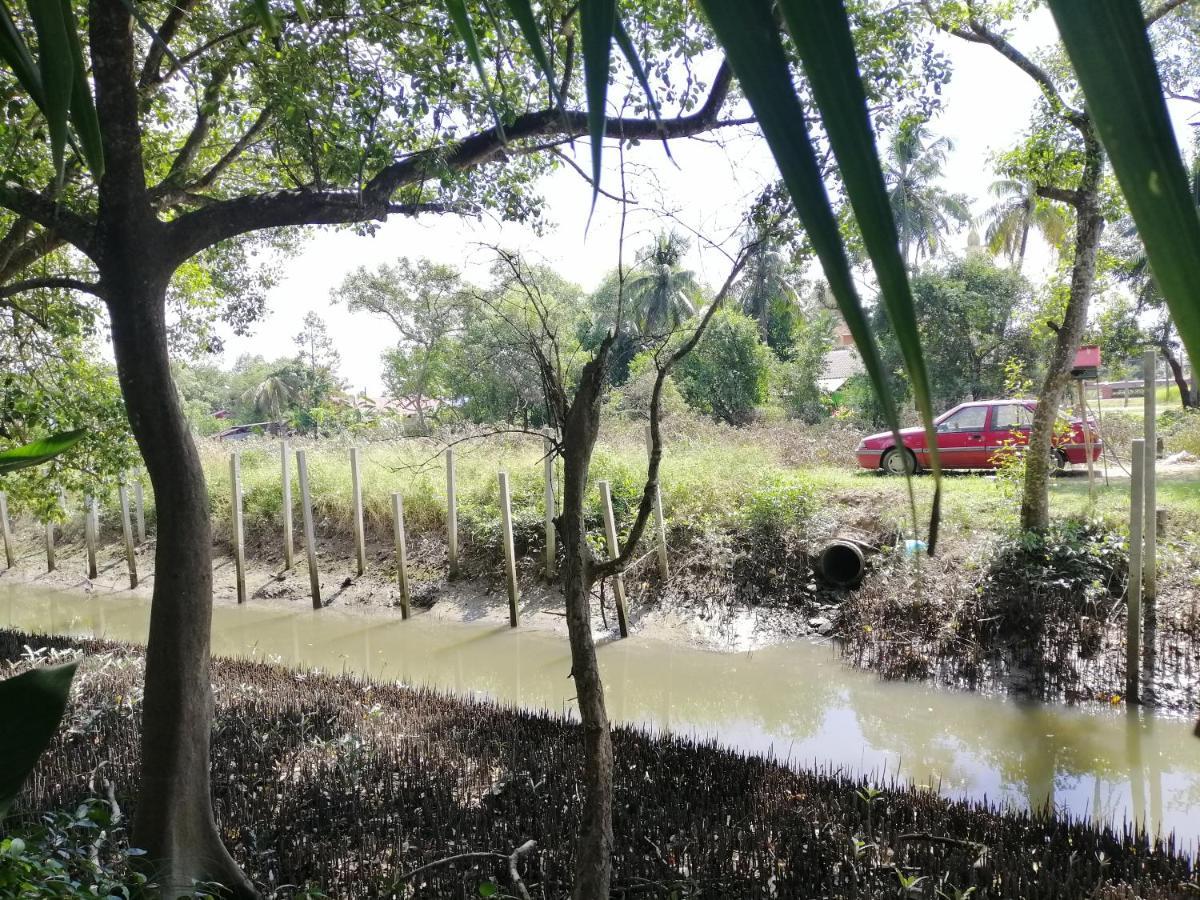 Api-api Eco Resort Pantai Kok Esterno foto