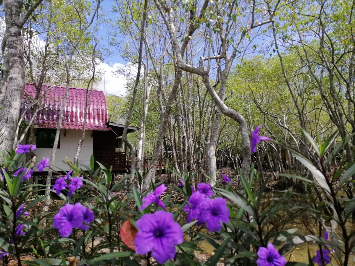 Api-api Eco Resort Pantai Kok Esterno foto